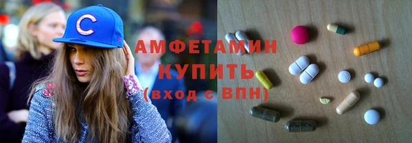 индика Волосово