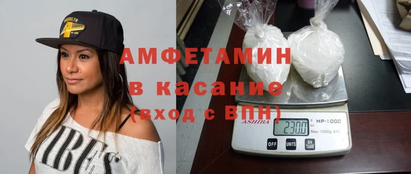 индика Волосово