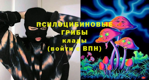 PSILOCYBIN Бугульма