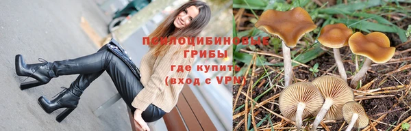 стафф Волоколамск