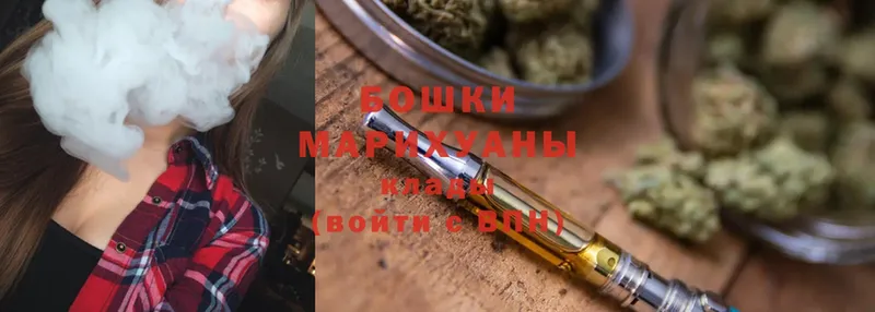 где купить   Гдов  Бошки марихуана OG Kush 